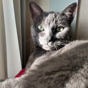 Meet your Posher, Grace